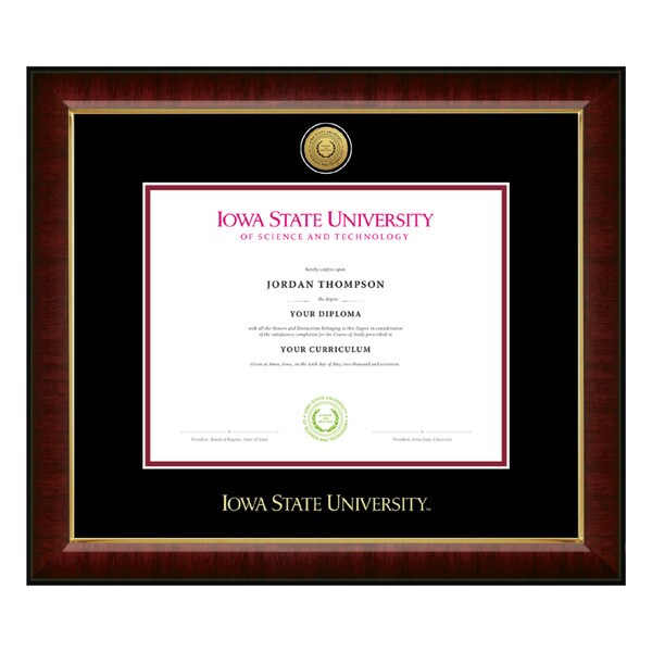 Church Hill Classics Murano Gold Medallion Master's Degree Diploma Frame #6